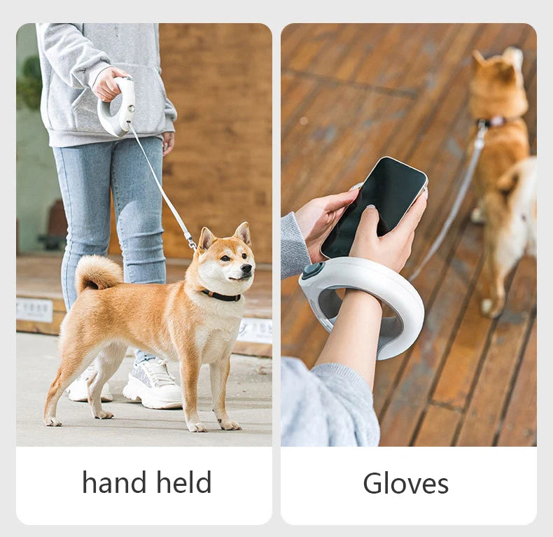 Correa retráctil con luz para perro